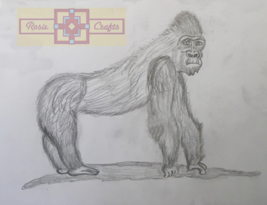Rosie Crafts Gorilla Drawing