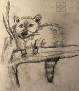 Rosie Crafts Badger Drawing