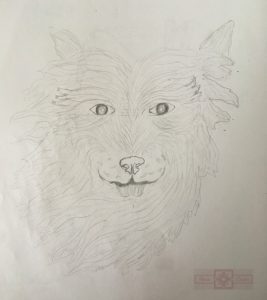 Artisan Tribes Wolf Drawing
