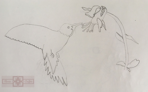Rosie Crafts Hummingbird Drawing