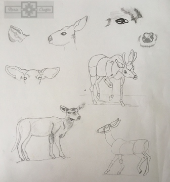 Rosie Crafts Deer Instructional Drawing