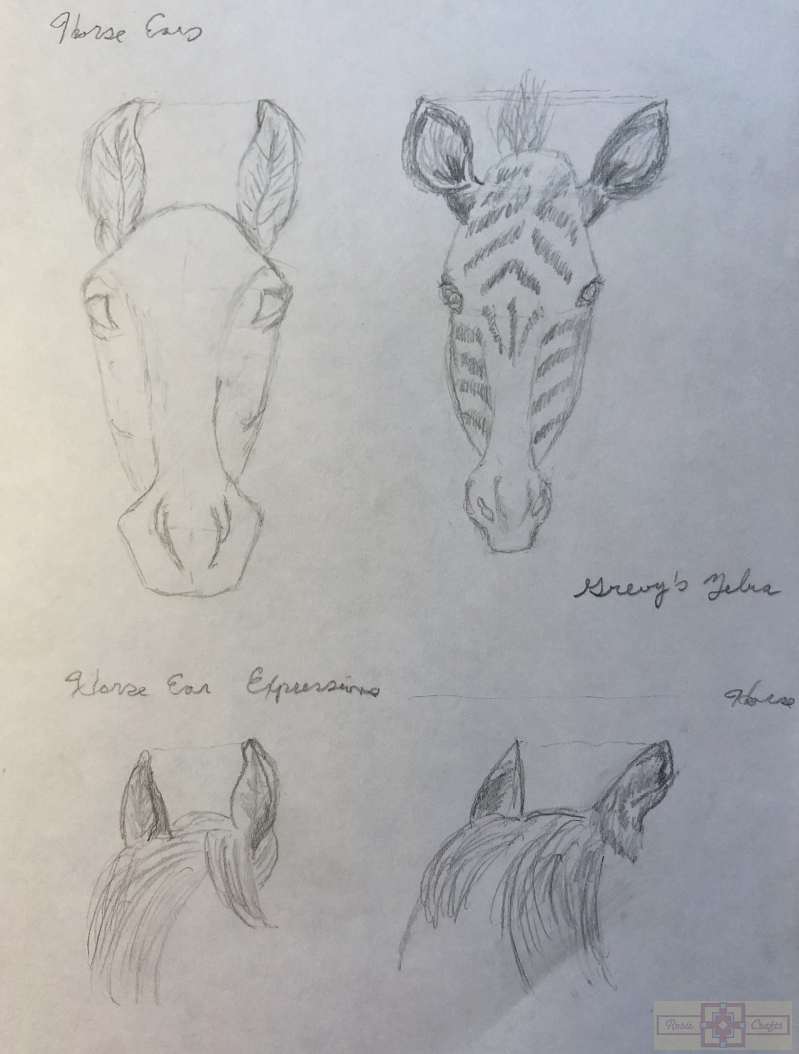 Rosie Crafts Animal Ears Drawing