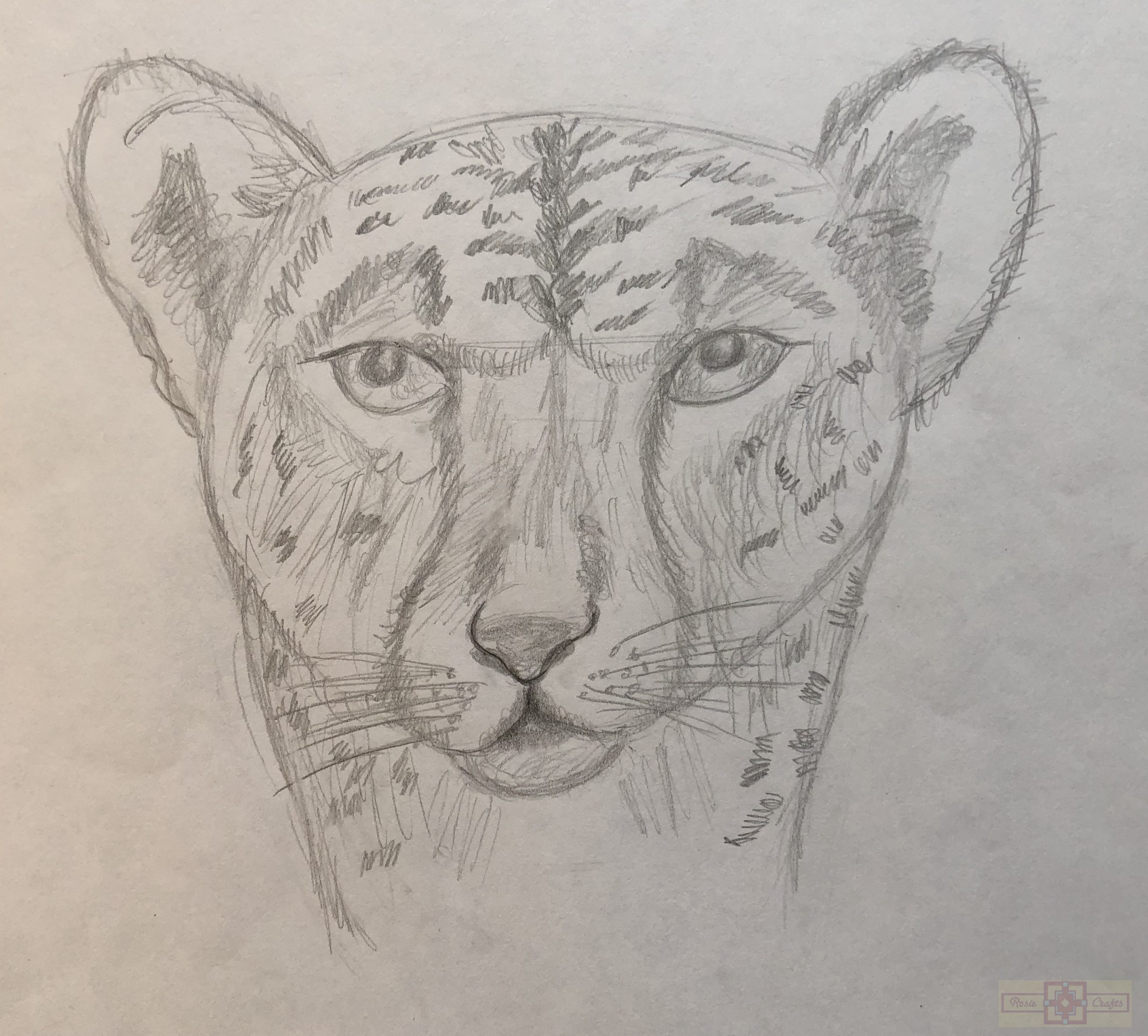 Rosie Crafts Cheetah Drawing