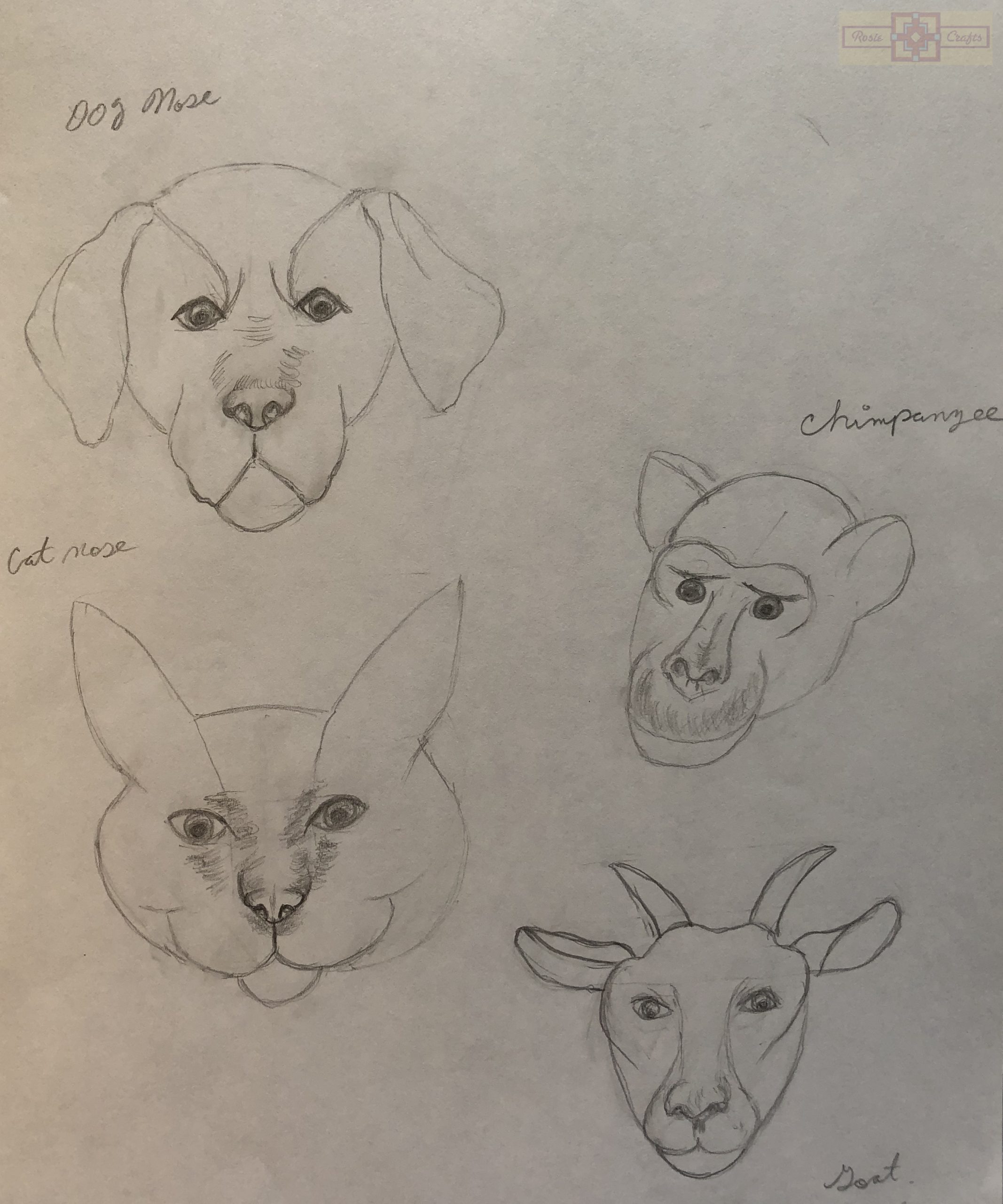 Rosie Crafts Animal Drawings