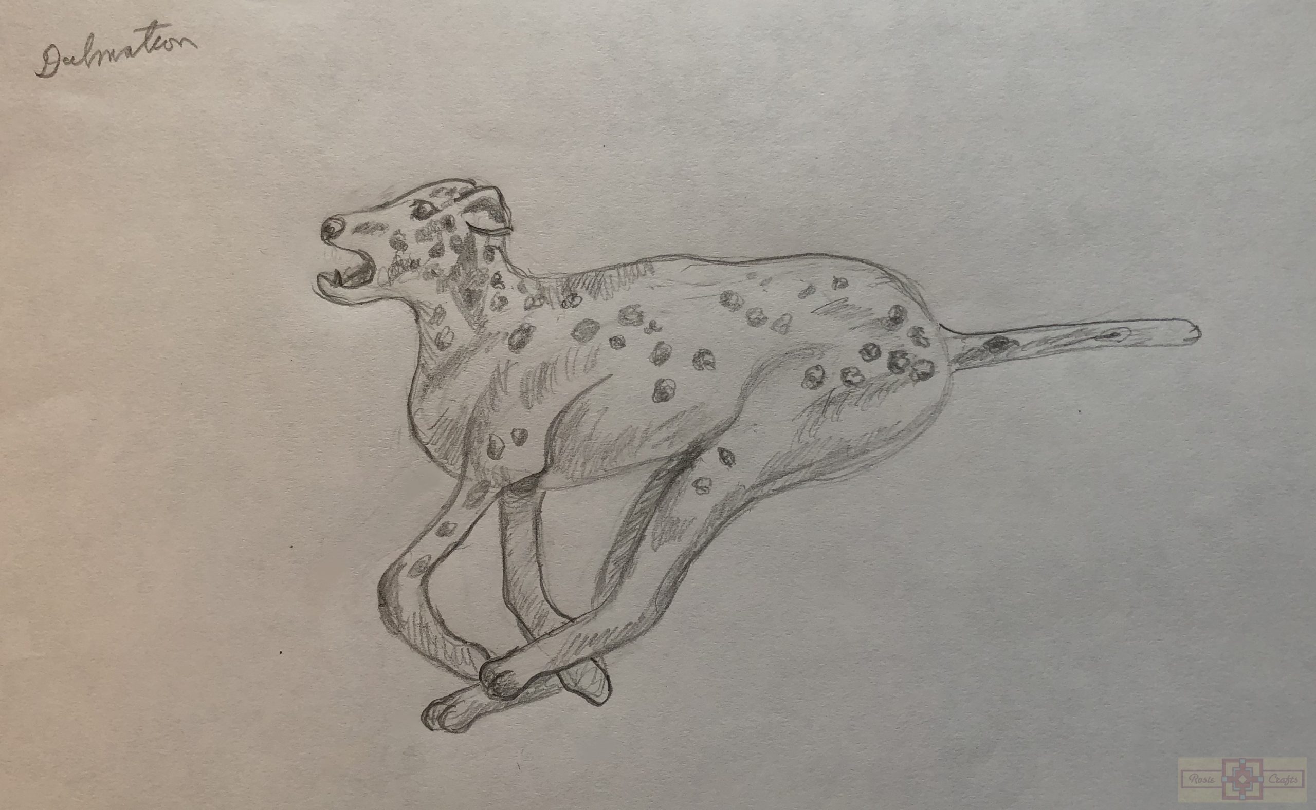 Rosie Crafts Dalmatian Dog Drawing