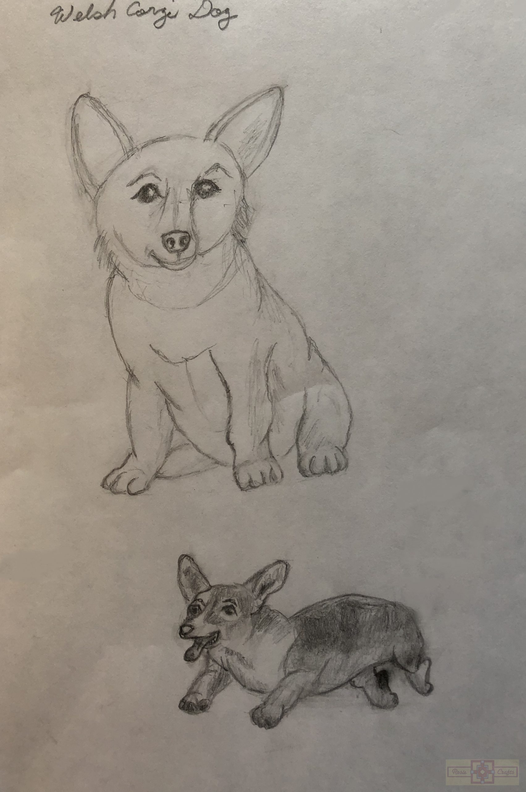 Rosie Crafts Welsh Corgi Dog Drawing