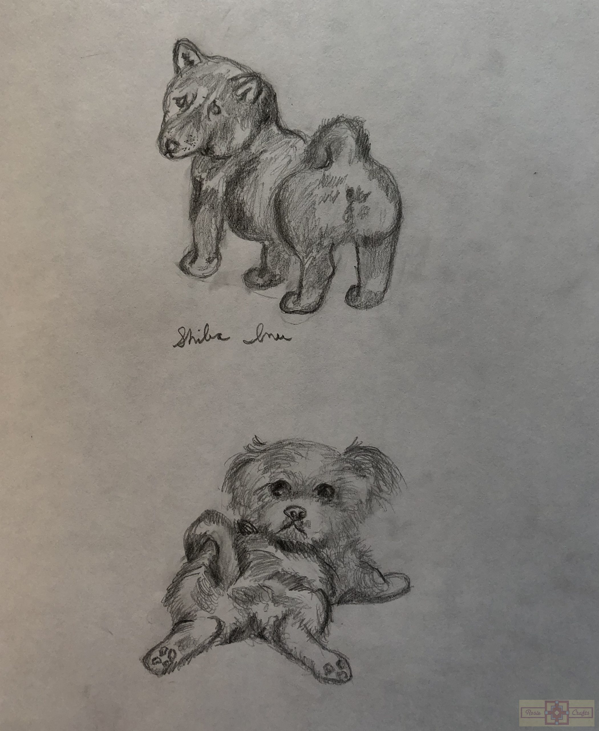 Rosie Crafts Dog Drawings