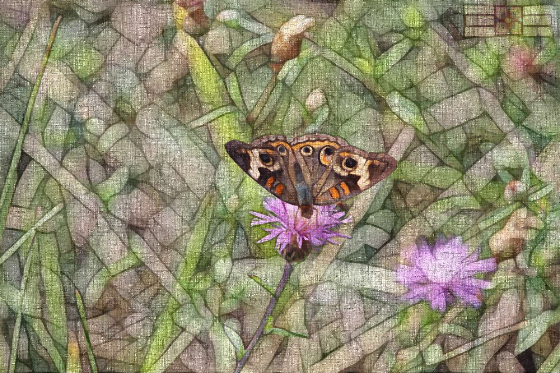 Rosie Crafts Abstract Digital Butterfly Artwork