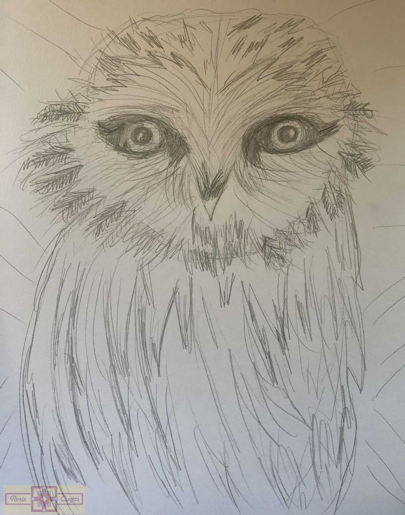 Rosie Crafts Owl Bird Drawing