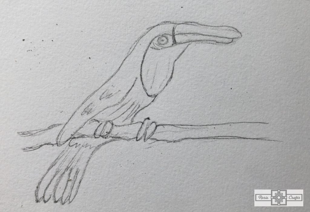 Rosie Crafts Toucan Drawing