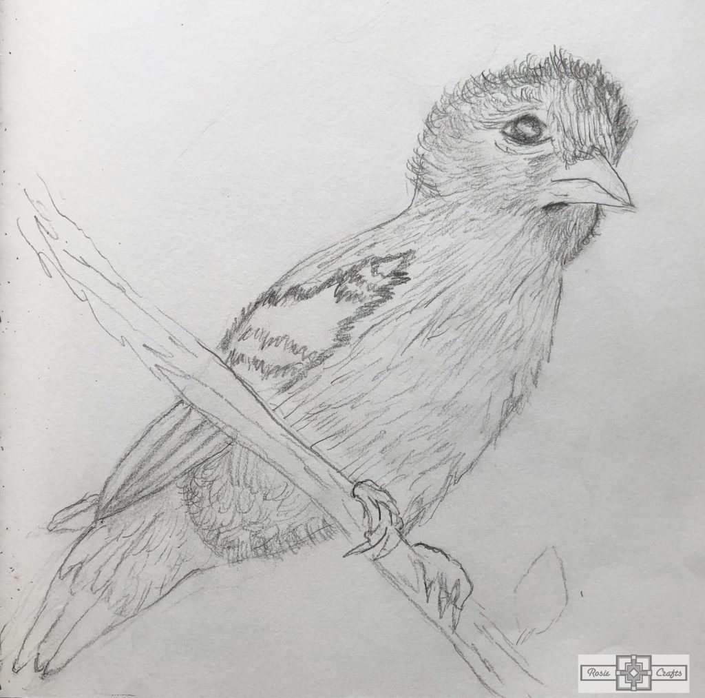 Rosie Crafts Yellow Goldfinch Bird Drawing