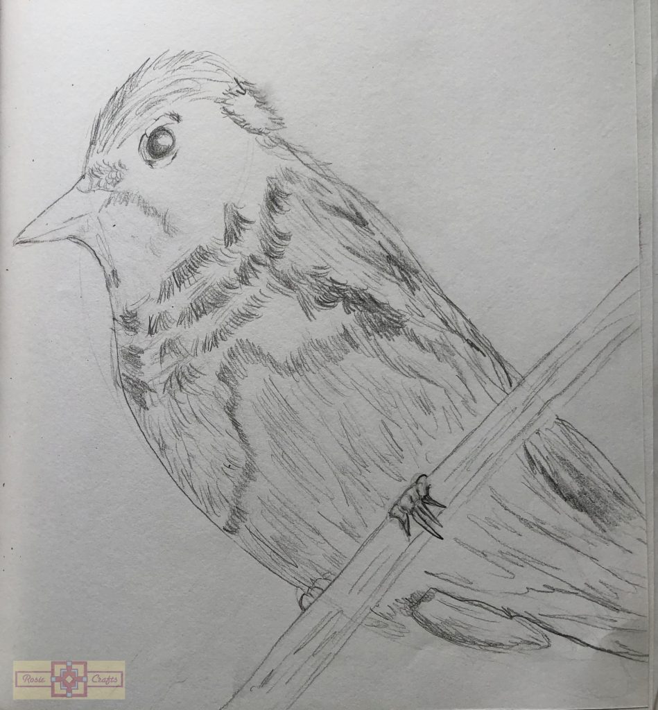 Rosie Crafts Bird Drawing