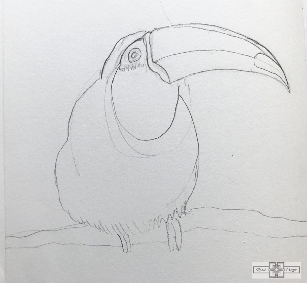 Rosie Crafts Toucan Drawing