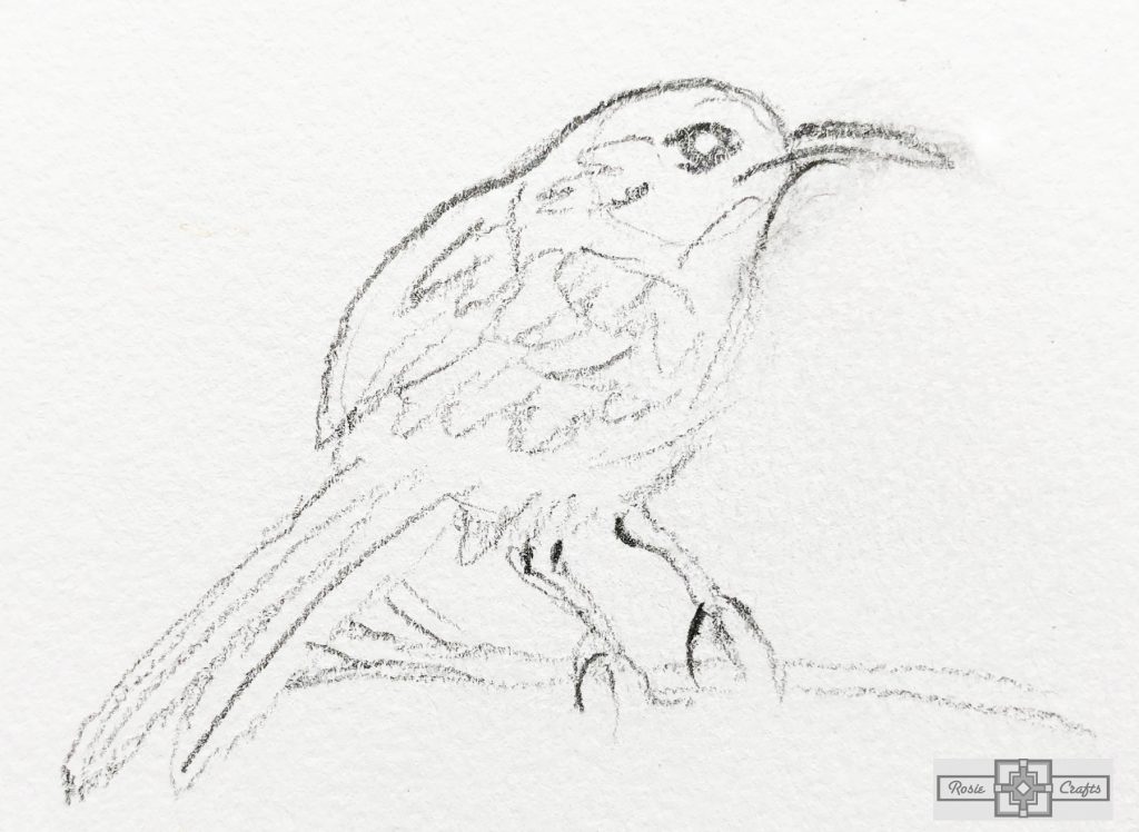 Rosie Crafts Wren Bird Drawing