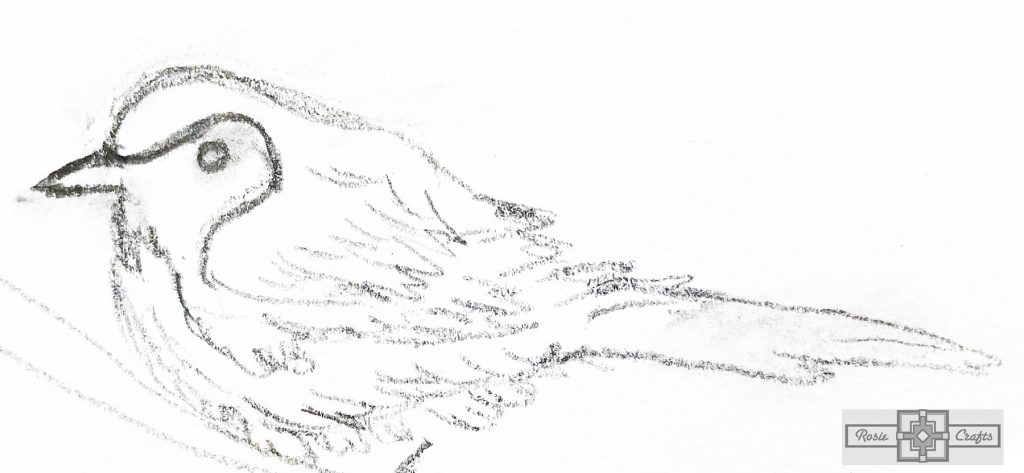 Rosie Crafts Warbler Bird Drawing