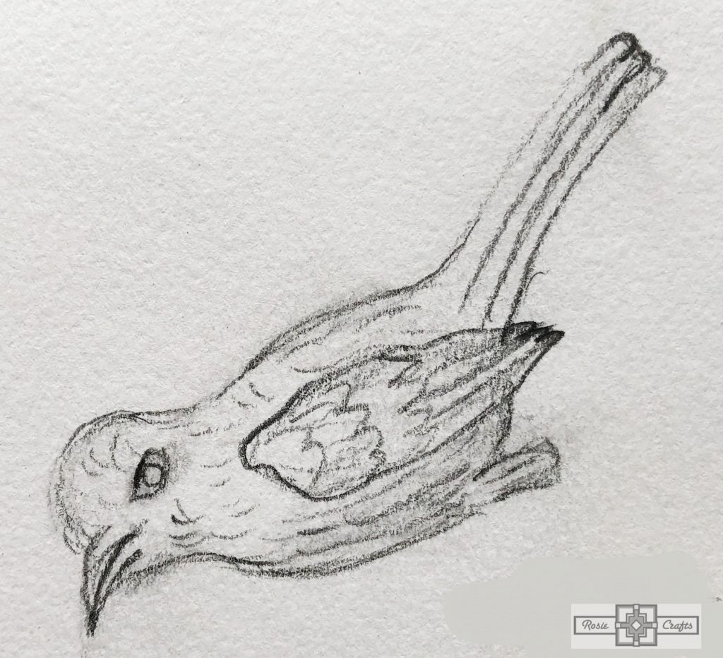 Rosie Crafts White Winged Fairy Wren Bird Drawing
