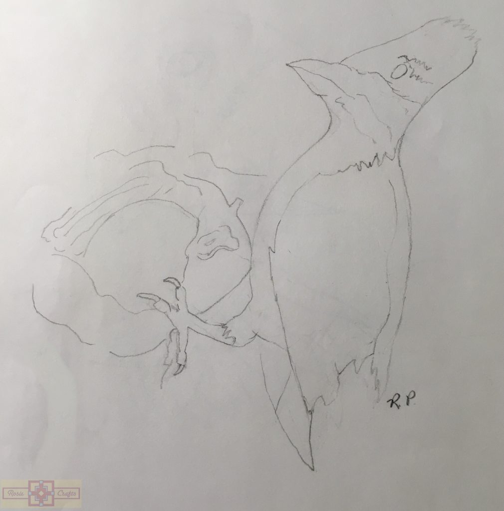 Rosie Crafts Pileated Woodpecker Bird Drawing
