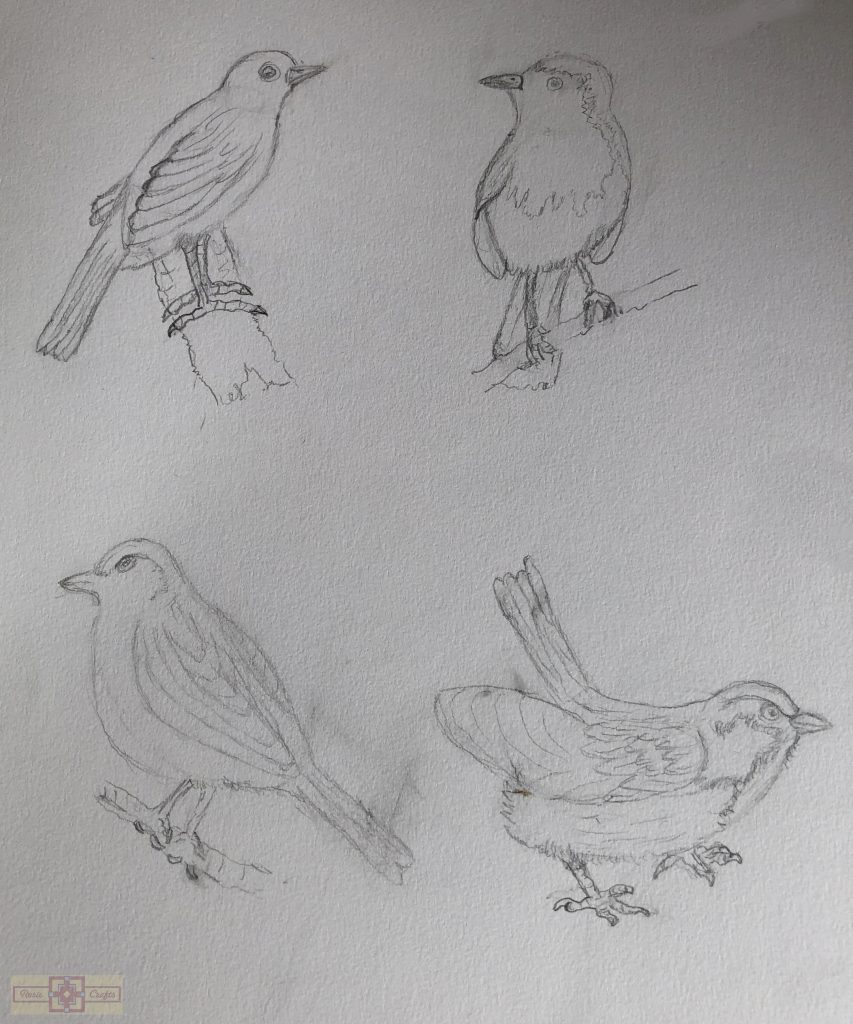 Rosie Crafts Bird Drawings