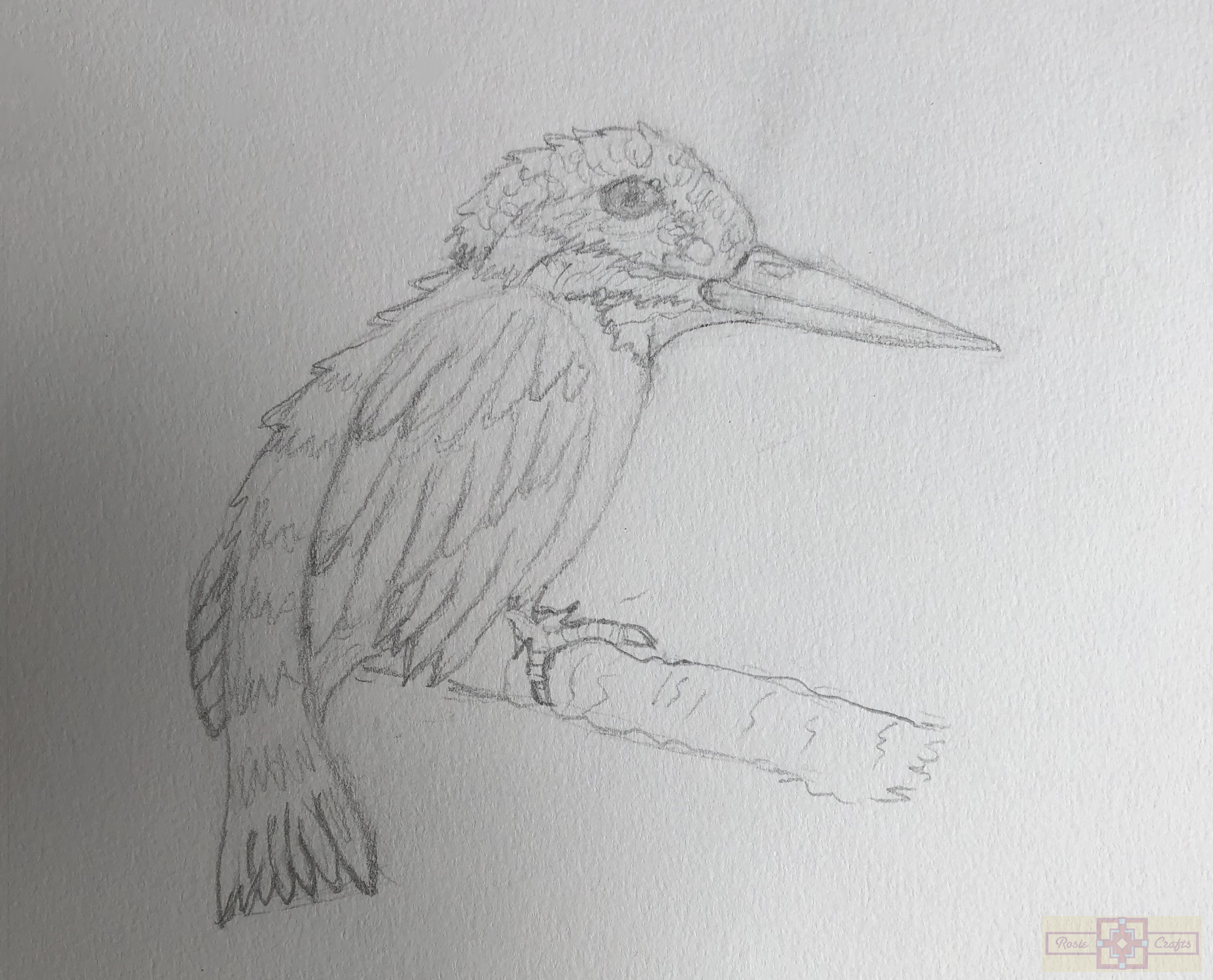 Rosie Crafts Kingfisher Bird Drawings