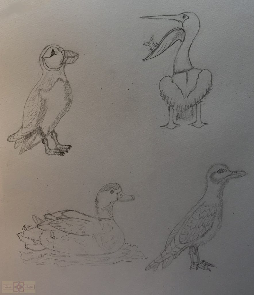 Rosie Crafts Bird Drawings