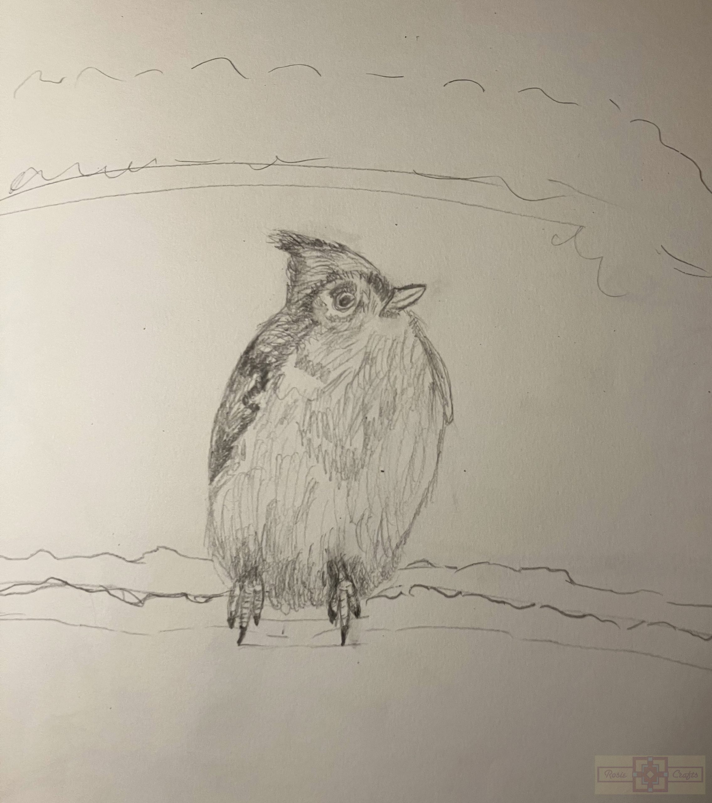 Rosie Crafts Tufted Titmouse Bird Drawing