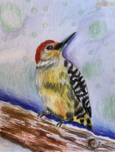 Rosie Crafts Red Bellied Woodpecker Artwork