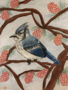 Rosie Crafts Blue Jay Artwork