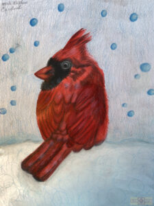 Rosie Crafts Northern Cardinal Male Artwork